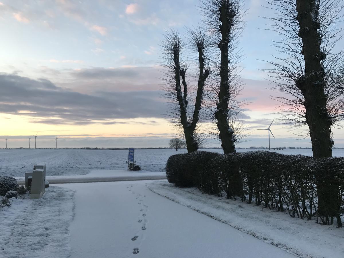 Elbe Ferienwohnung Gluckstadt Exteriör bild